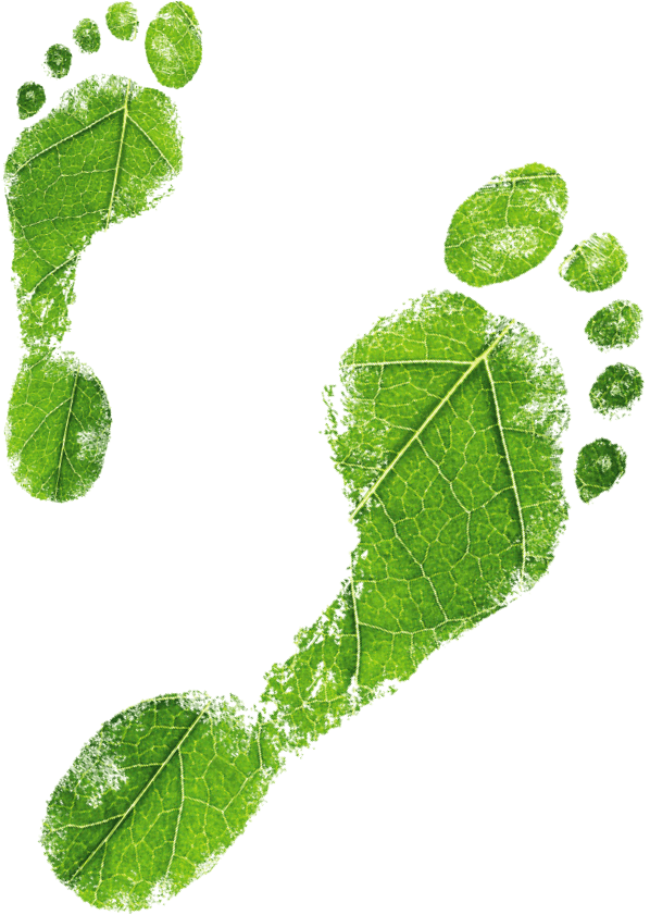 Footprint